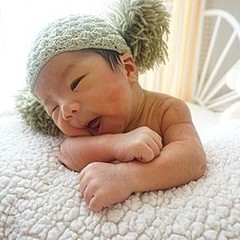 万能すぎてセリア みそストッカー に味噌は入れない 冷蔵庫収納の神100均グッズbest6 ヨムーノ