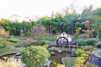 apartment 東京都町田市森野１丁目31-10　渋谷グリーンテラスⅡ1F