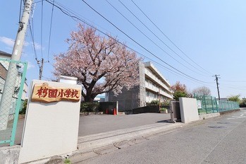 detached 東京都町田市森野１丁目31-10　渋谷グリーンテラスⅡ1F