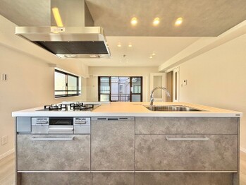 apartment 東京都町田市森野１丁目31-10　渋谷グリーンテラスⅡ1F