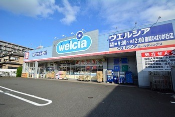 detached 東京都町田市森野１丁目31-10　渋谷グリーンテラスⅡ1F