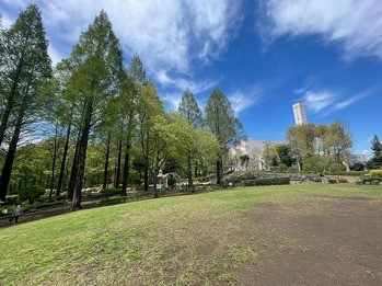 detached 東京都町田市森野１丁目31-10　渋谷グリーンテラスⅡ1F