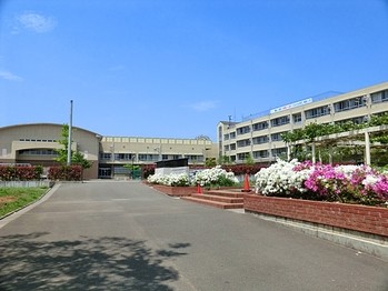 detached 東京都町田市森野１丁目31-10　渋谷グリーンテラスⅡ1F