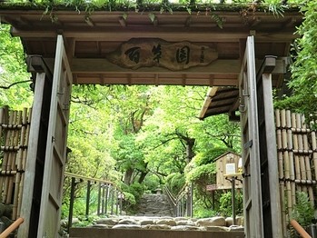 detached 東京都町田市森野１丁目31-10　渋谷グリーンテラスⅡ1F