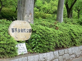 detached 東京都町田市森野１丁目31-10　渋谷グリーンテラスⅡ1F
