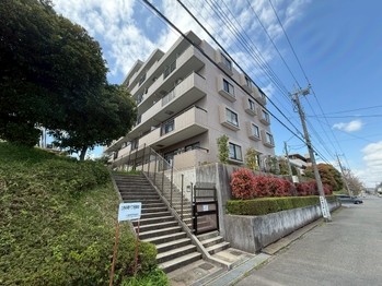 apartment 東京都町田市森野１丁目31-10　渋谷グリーンテラスⅡ1F