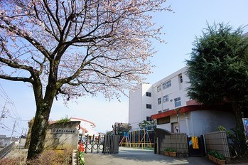 detached 東京都町田市森野１丁目31-10　渋谷グリーンテラスⅡ1F