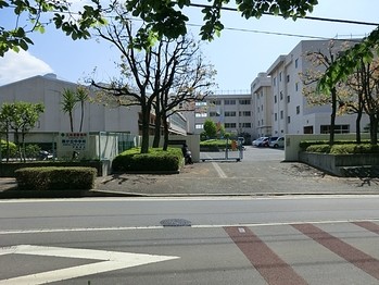 detached 東京都町田市森野１丁目31-10　渋谷グリーンテラスⅡ1F