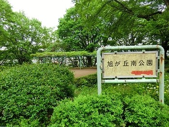 detached 東京都町田市森野１丁目31-10　渋谷グリーンテラスⅡ1F