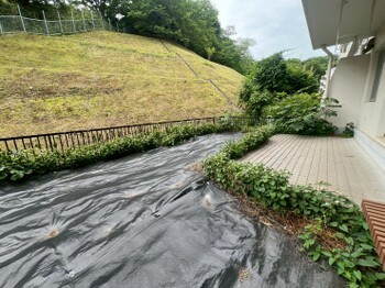 apartment 東京都町田市森野１丁目31-10　渋谷グリーンテラスⅡ1F