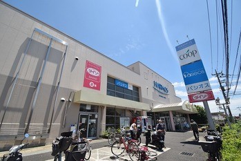 detached 東京都町田市森野１丁目31-10　渋谷グリーンテラスⅡ1F