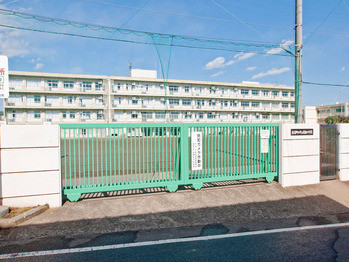 detached 東京都町田市森野１丁目31-10　渋谷グリーンテラスⅡ1F