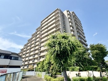 apartment 東京都町田市森野１丁目31-10　渋谷グリーンテラスⅡ1F