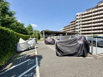 apartment 東京都町田市森野１丁目31-10　渋谷グリーンテラスⅡ1F