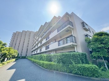 apartment 東京都町田市森野１丁目31-10　渋谷グリーンテラスⅡ1F