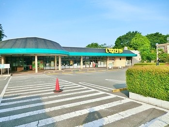 detached 東京都町田市森野１丁目31-10　渋谷グリーンテラスⅡ1F