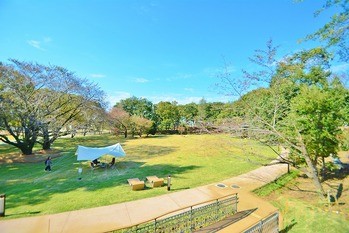 apartment 東京都町田市森野１丁目31-10　渋谷グリーンテラスⅡ1F