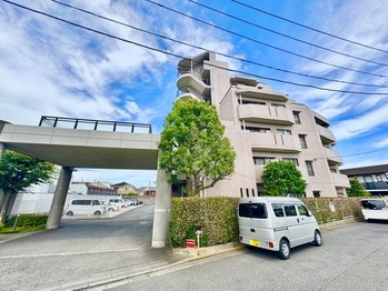 apartment 東京都町田市森野１丁目31-10　渋谷グリーンテラスⅡ1F