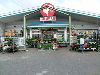 detached 東京都町田市森野１丁目31-10　渋谷グリーンテラスⅡ1F
