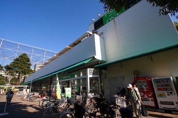 apartment 東京都町田市森野１丁目31-10　渋谷グリーンテラスⅡ1F