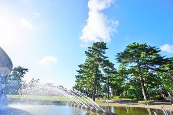 apartment 東京都町田市森野１丁目31-10　渋谷グリーンテラスⅡ1F
