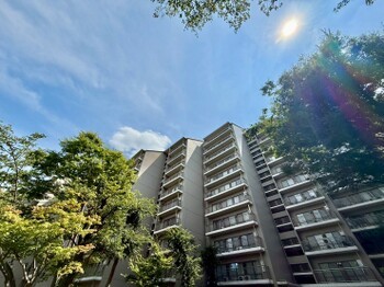 apartment 東京都町田市森野１丁目31-10　渋谷グリーンテラスⅡ1F