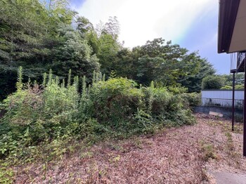 detached 東京都町田市森野１丁目31-10　渋谷グリーンテラスⅡ1F