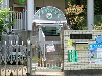 detached 東京都町田市森野１丁目31-10　渋谷グリーンテラスⅡ1F