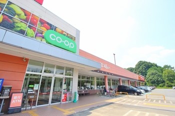 apartment 東京都町田市森野１丁目31-10　渋谷グリーンテラスⅡ1F