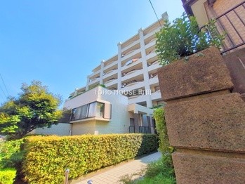 apartment 東京都町田市森野１丁目31-10　渋谷グリーンテラスⅡ1F