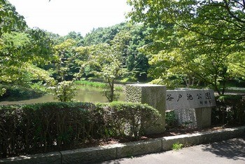 detached 東京都町田市森野１丁目31-10　渋谷グリーンテラスⅡ1F