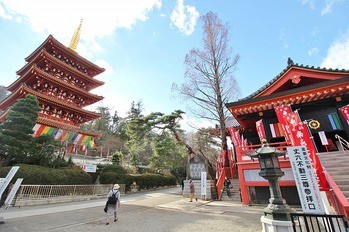 apartment 東京都町田市森野１丁目31-10　渋谷グリーンテラスⅡ1F