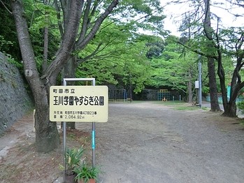 detached 東京都町田市森野１丁目31-10　渋谷グリーンテラスⅡ1F