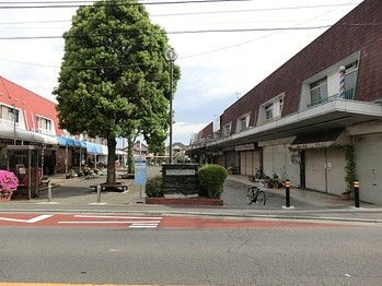 detached 東京都町田市森野１丁目31-10　渋谷グリーンテラスⅡ1F