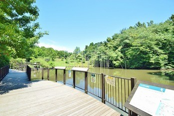 apartment 東京都町田市森野１丁目31-10　渋谷グリーンテラスⅡ1F