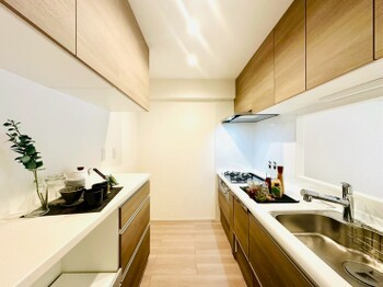 apartment 東京都町田市森野１丁目31-10　渋谷グリーンテラスⅡ1F