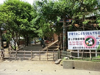 detached 東京都町田市森野１丁目31-10　渋谷グリーンテラスⅡ1F