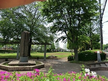 detached 東京都町田市森野１丁目31-10　渋谷グリーンテラスⅡ1F