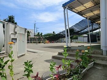 apartment 東京都町田市森野１丁目31-10　渋谷グリーンテラスⅡ1F