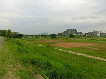 apartment 東京都町田市森野１丁目31-10　渋谷グリーンテラスⅡ1F