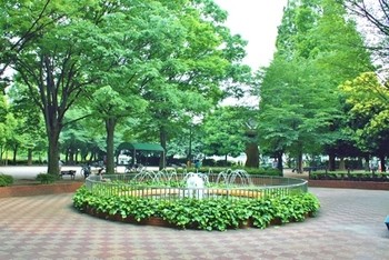 apartment 東京都町田市森野１丁目31-10　渋谷グリーンテラスⅡ1F