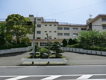 apartment 東京都町田市森野１丁目31-10　渋谷グリーンテラスⅡ1F
