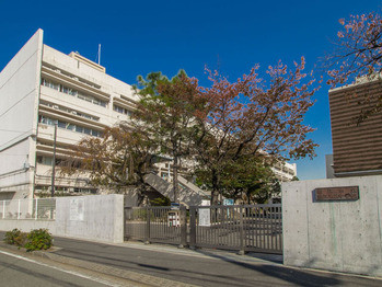 apartment 東京都町田市森野１丁目31-10　渋谷グリーンテラスⅡ1F