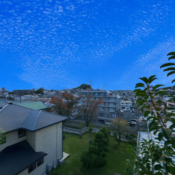 detached 東京都町田市森野１丁目31-10　渋谷グリーンテラスⅡ1F