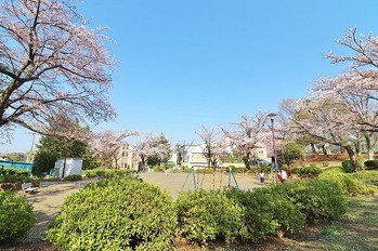 apartment 東京都町田市森野１丁目31-10　渋谷グリーンテラスⅡ1F