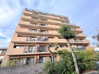apartment 東京都町田市森野１丁目31-10　渋谷グリーンテラスⅡ1F