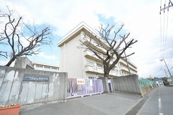 detached 東京都町田市森野１丁目31-10　渋谷グリーンテラスⅡ1F