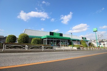 detached 東京都町田市森野１丁目31-10　渋谷グリーンテラスⅡ1F