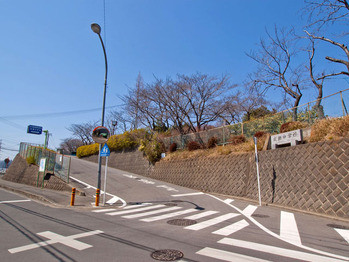 detached 東京都町田市森野１丁目31-10　渋谷グリーンテラスⅡ1F