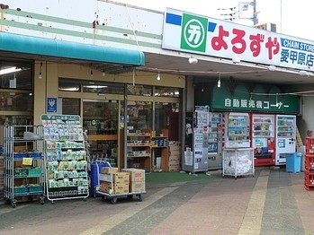 detached 東京都町田市森野１丁目31-10　渋谷グリーンテラスⅡ1F